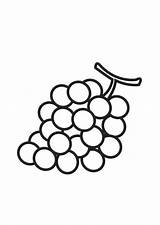 Dibujos De Uvas Para Colorear E Imprimir– ColoringOnlyCom sketch template