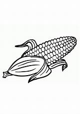 Coloring Pages  Printable Corn sketch template