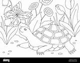 Black And White Turtle Coloring Pages 2025 sketch template