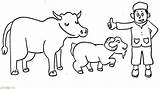 Mewarnai Sapi Gambar Dan Pemandangan Cocok Ke Sketch Coloring Page sketch template