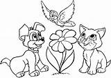 Cat And Dog Coloring Page  Free Printable Coloring Pages For Kids sketch template