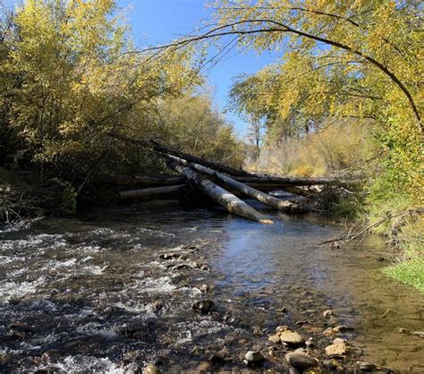 The Significance of the Hyporheic Zone — Deschutes Land Trust