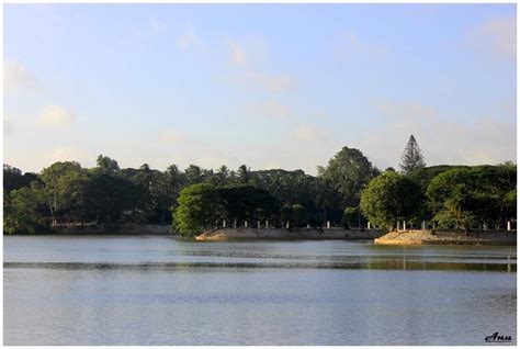 Lalbagh lake – Anu Jain