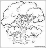Oak Tree In The Forest Coloring Page For Kids And  sketch template