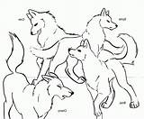 Baby Wolf Coloring Pages To Print  Home sketch template