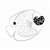Emperor Angelfish Pomacanthus Imperator Coloring Page For Kids  Free sketch template