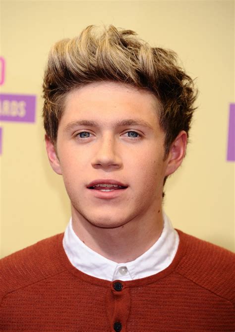 Niall Horan One Direction Hairstyle ~ Etcetera-Etcetera