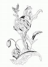 Botany Coloring Page  Vrogueco sketch template