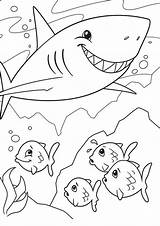 Kids Printable Shark Coloring Pages sketch template