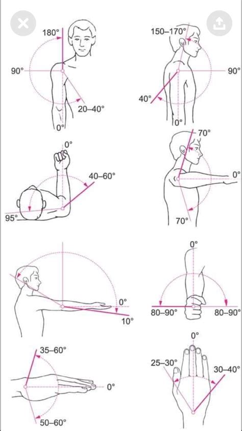 Pin by Christine zook on Shoulder Rom | Physical therapy, Yoga anatomy ...