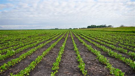 Sustainable Soybean Farmer Tony Mellenthin Shares His Earth Day Plans