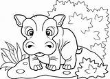 Free Baby hippo coloring Sheet And PDF To Print sketch template