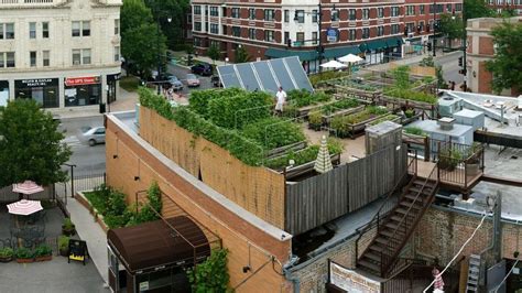 Rooftop Farming Is Getting Off The Ground : The Salt : NPR