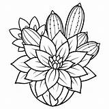 Floral Cactus Coloring Pages Beautiful Designs Of Cacti With Flowers  sketch template