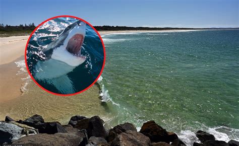 Shark attack in Australia. Surfer feared dead