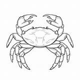 Crab Coloring Sheets Free & Printable  Kokoprintcom sketch template