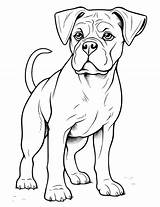 Boxer Dog Coloring Pages sketch template