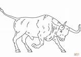 Spanish Fighting Bull coloring page  Free Printable Coloring Pages sketch template