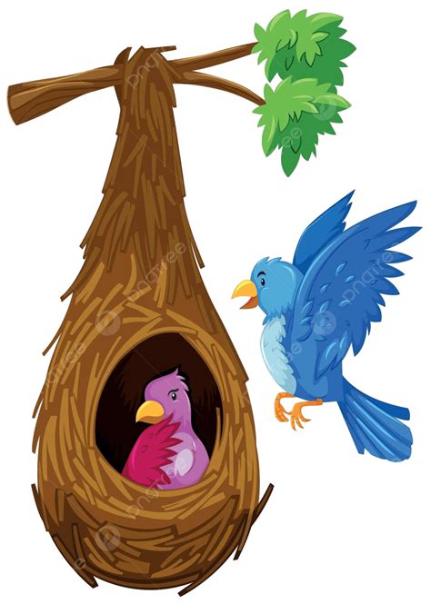 Bird Hatching In Nest And Bird Flying Outside Vector, Exotic, Nest, Isolated PNG and Vector with ...