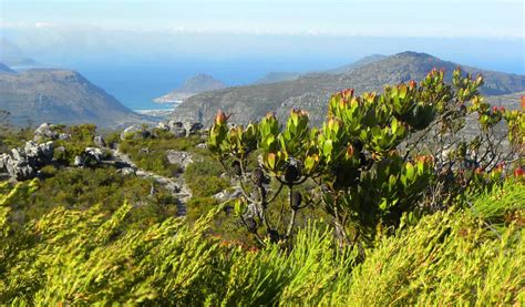 Hiking up the Twelve Apostles to Table Mountain, Cape Town