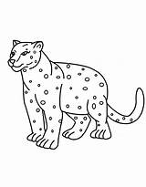 Leopard Coloring Pages Free Printable PDF sketch template