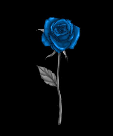 Single blue rose on a long stem with a leaf Digital Art by Norman W ...