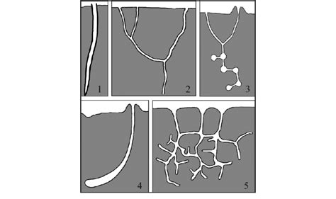 Schematic drawings of the most common burrow types made by marine ...