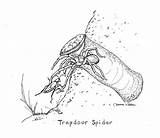 Trapdoor Drawing At PaintingValleycom  Explore Collection Of sketch template