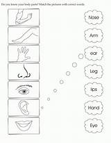 Body Parts Worksheet Coloring Pages sketch template