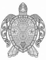 Hard Coloring Pages To Print  Free Printable sketch template
