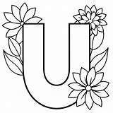 Alphabet U coloring Page With The Flower letter Digital Outline  sketch template