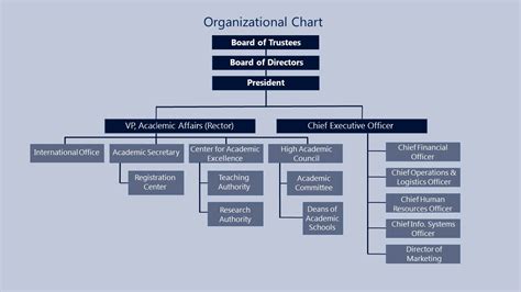 Governance and organizational structure - The College of Management Academic Studies