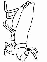 Free Insect Colouring Sheets Download Png  sketch template