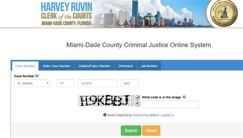 Miami-Dade Criminal Records - Lookup Criminal Court Cases, Offenders ...