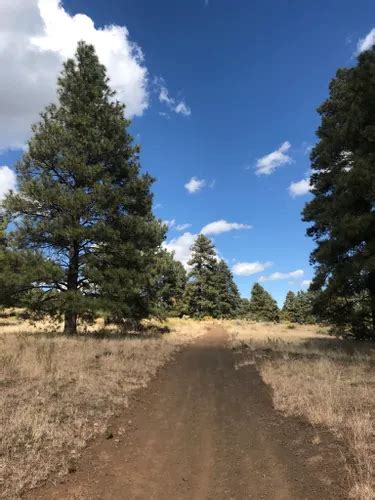 10 Best Trails and Hikes in Flagstaff | AllTrails