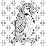 Emperor Penguin Coloring Page sketch template