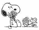 Printable Peanuts Coloring Pages Free  101 Activity sketch template