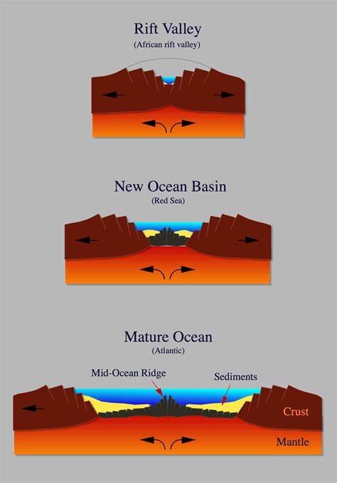 The genesis of an ocean: In plate tectonics, the formation of an ocean ...