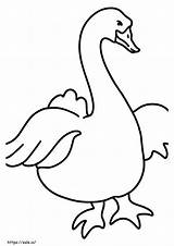 Goose Coloring Pages  Free Printable For Kids sketch template