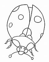 Free Printable Bug Coloring Pages For Kids sketch template