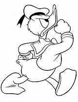 Donald Duck Free coloring Page  Download Print Or Color Online For sketch template