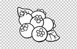 Blueberry Muffins Coloring Pages sketch template