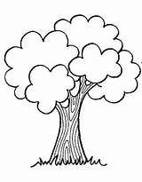 Tree Coloring Pages Free Printable PDF sketch template