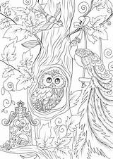 Birds On A Tree – Favoreads Coloring Club sketch template