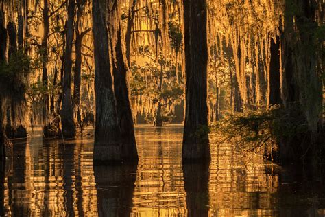 USA, Louisiana, Vermilion Parish Photograph by Jaynes Gallery | Fine Art America