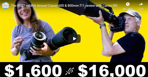 The Best Wildlife Lenses: Canon RF 600mm & 800mm f/11 Review with Canon EOS R5 - Camera Times