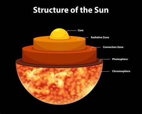 Diagram showing structure of the sun | Sun diagram, Solar system projects, Sun projects