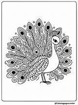 30  Peacock Coloring Pages Free Printable sketch template