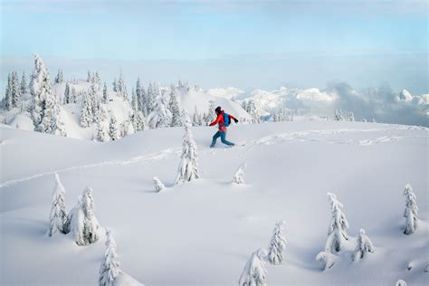 The Complete Guide for Snowshoeing Beginners — Canadian Rockies Experience