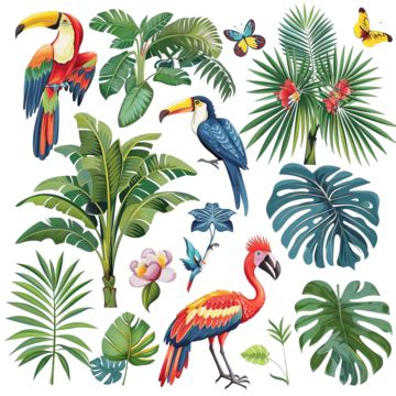 Tropical Plants And Birds Collection Set, Abstract, Aloha, Art PNG Transparent Image and Clipart ...